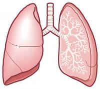肺気腫、慢性閉塞性肺疾患（COPD）
