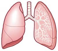 肺気腫、慢性閉塞性肺疾患(COPD)